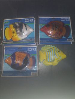4 Rainbow Reef Fish for Swimming Pool