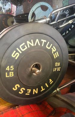 PAIR OF 45 LB. NEW BUMPER PLATES • Also Have RUBBER / BUMPERS : 35s 25s 15s 10s