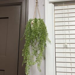 Fake Plant