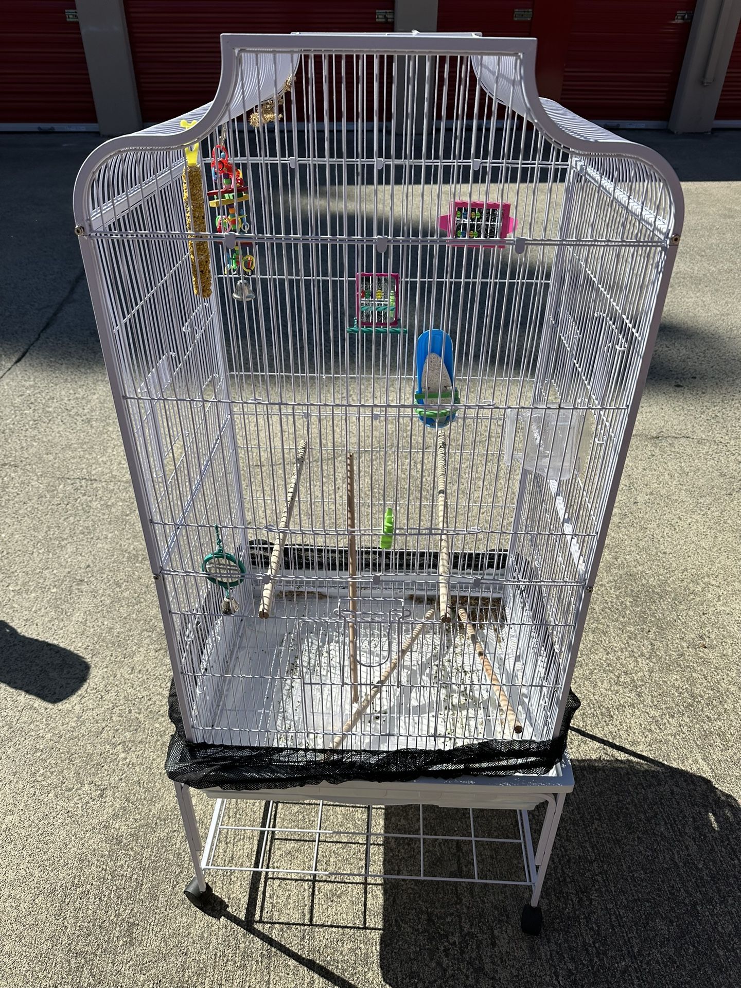Bird Cage