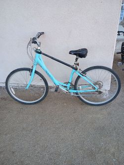 Beach cruiser bicycle
