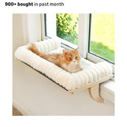 Cat window perch/bed