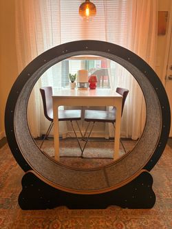 XL cat wheel