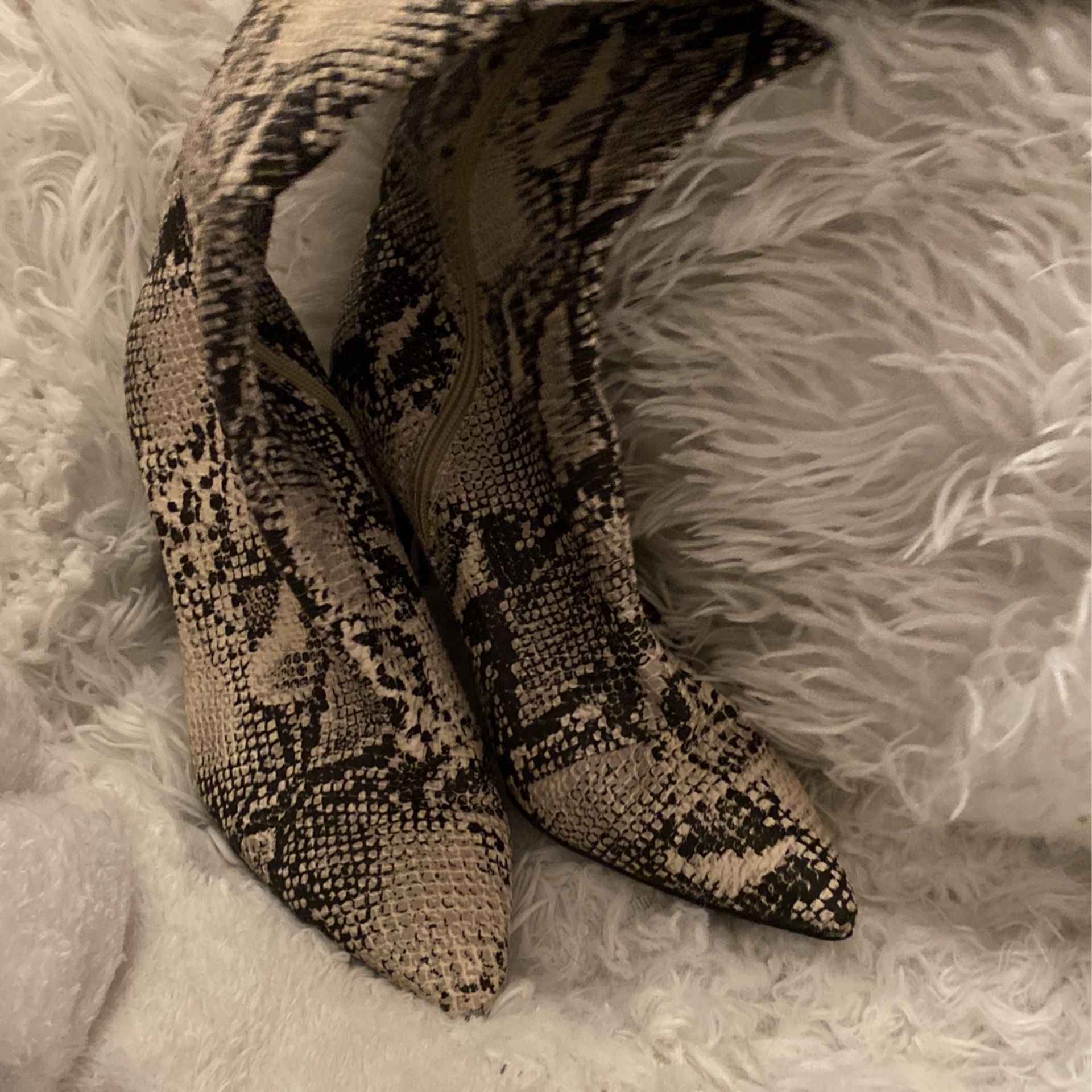 Snake Print Boots