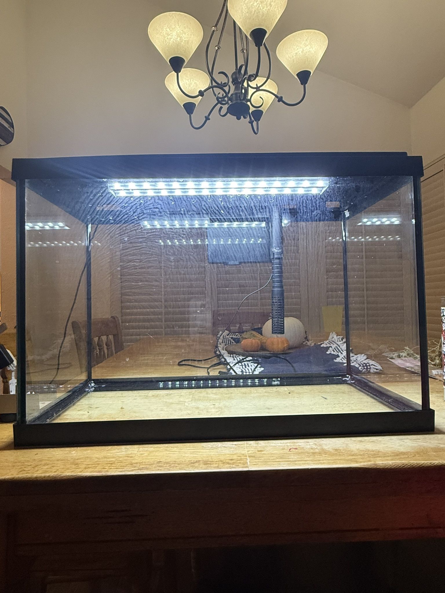 20 Gallon Fish Tank Starter Kit