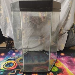 20g Hexagon Fish Tank 