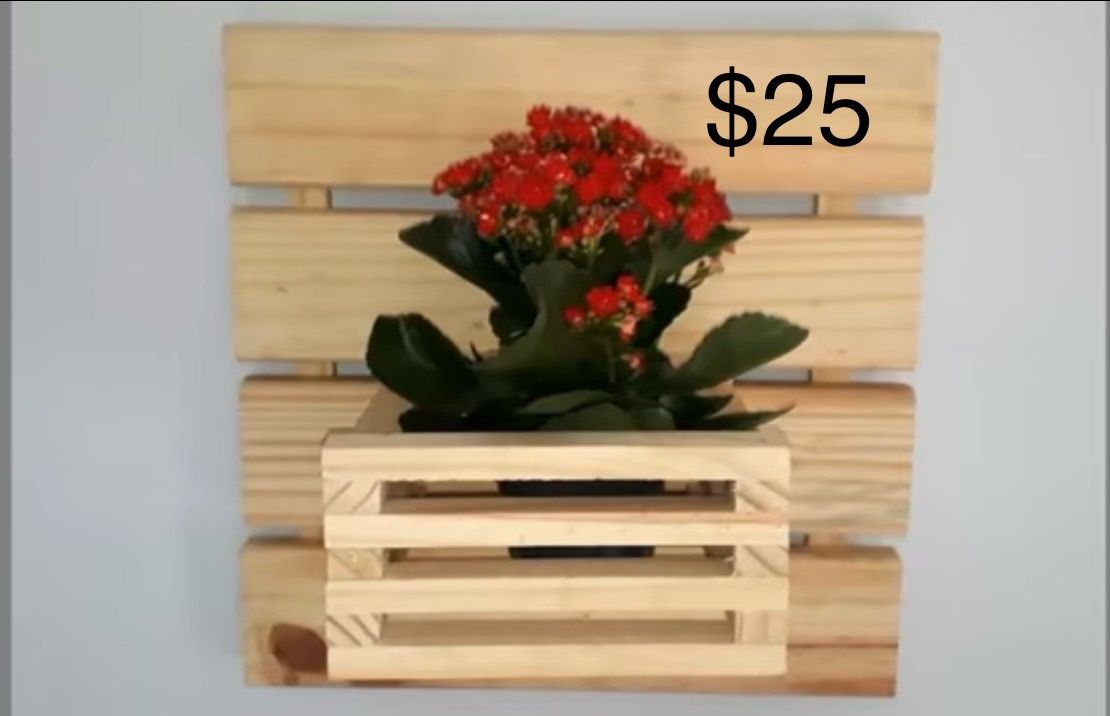 Wall Plant/candle Holder