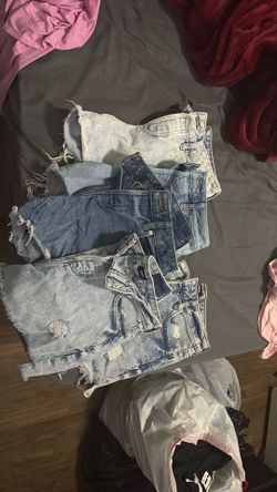 Express shorts size 2