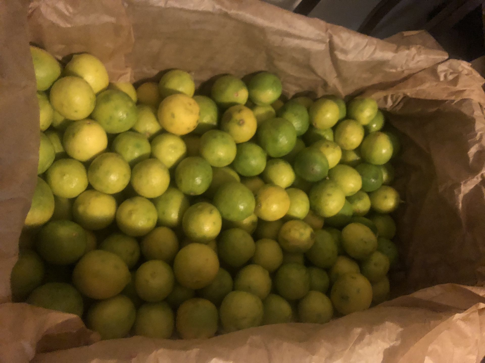 Limon 15 x $1 dolar