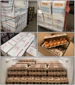 Fresh XL Farm Eggs