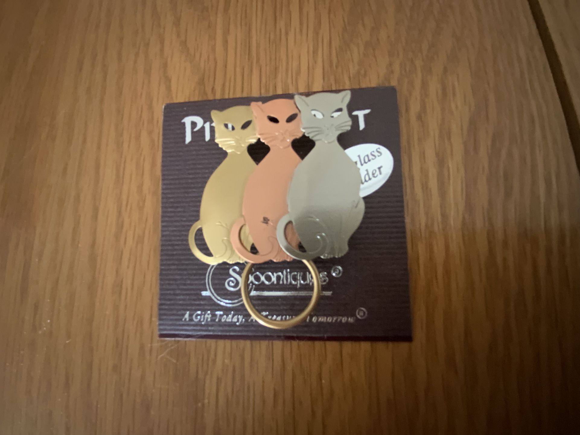 Cats Eyeglass Holder Pin