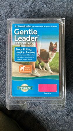 Never Used Gentle Lead - Raspberry Color