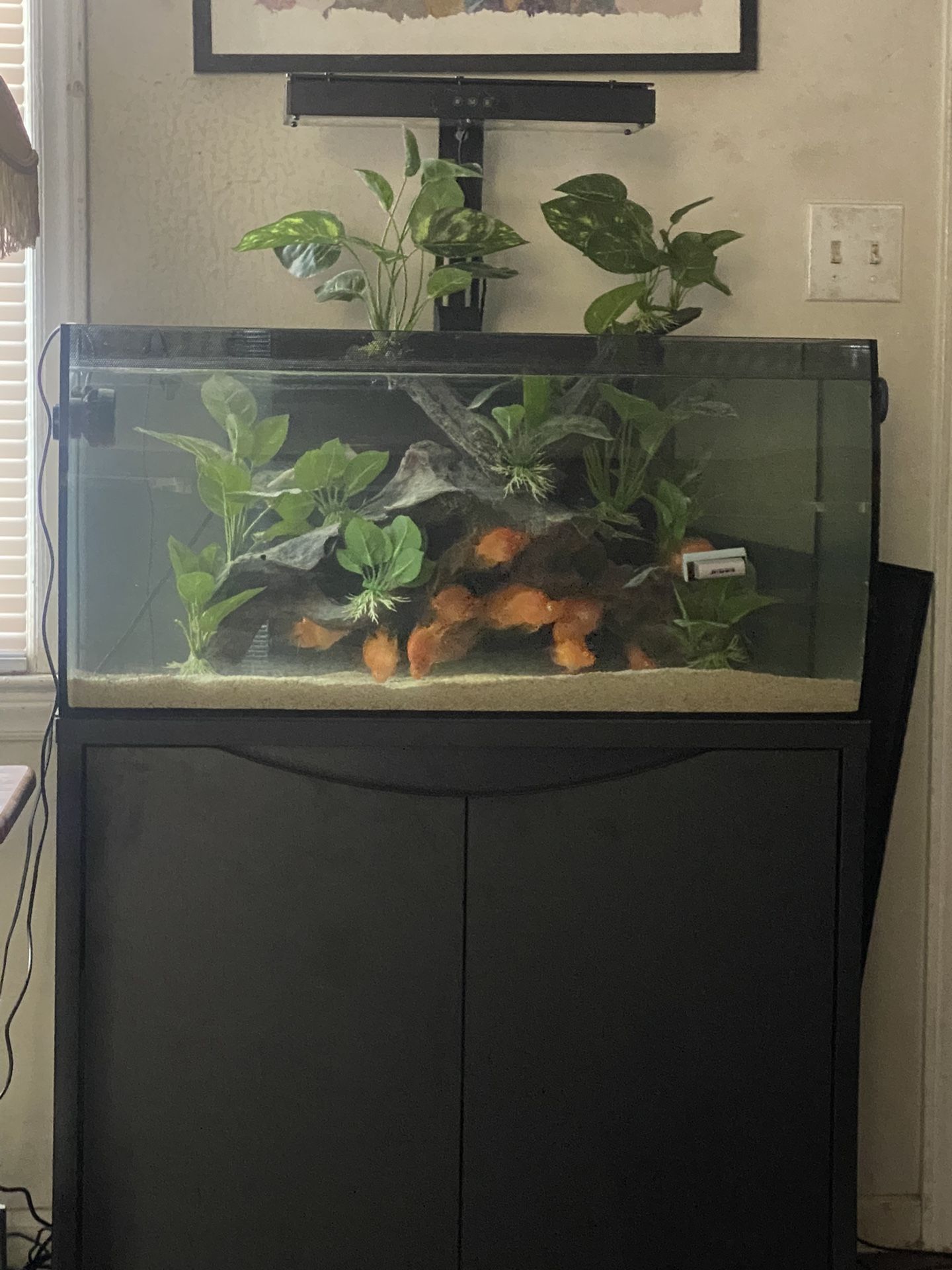 Fluval Flex 32 Gallon Aquarium Setup