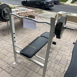 Total Gym, Weight Bench And Weights 