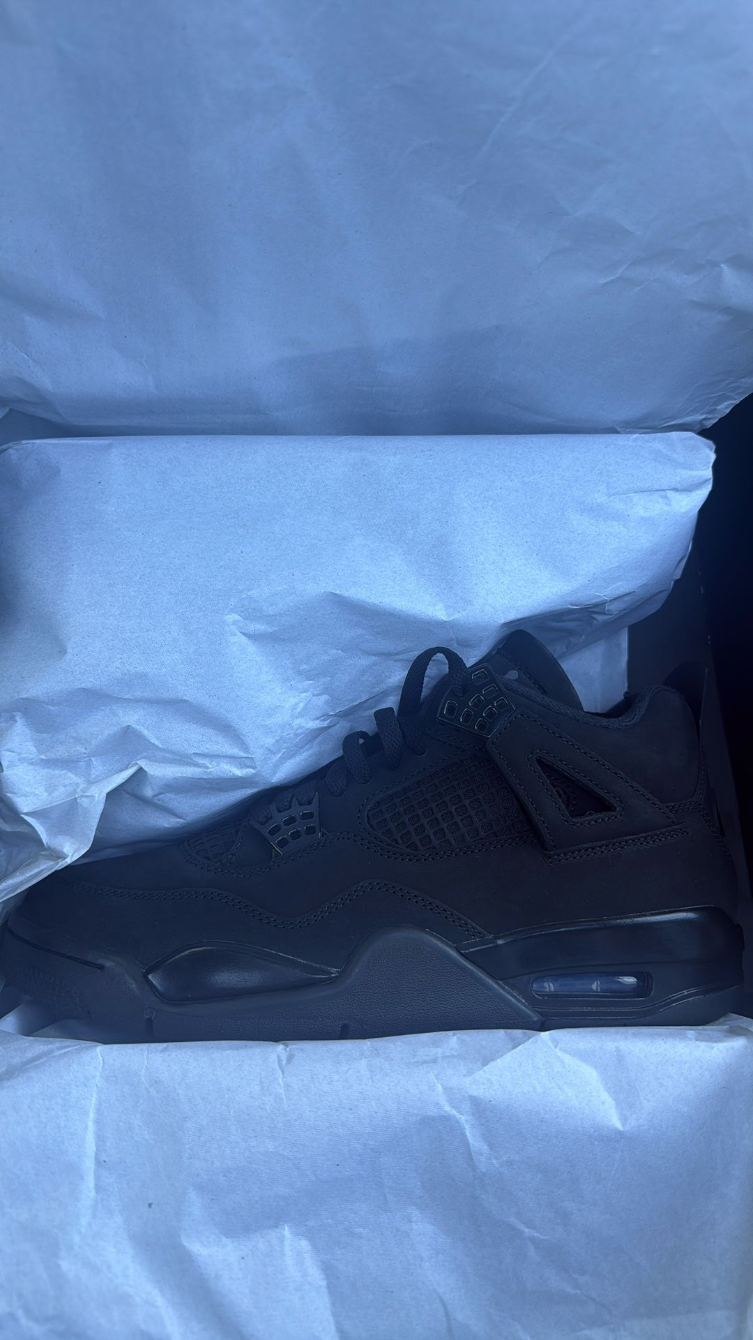 Jordan 4 Black Cat