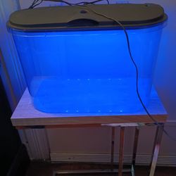5 Gallon Fish Tank Slightly Used