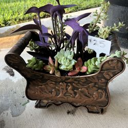 Cute Succulent Planter