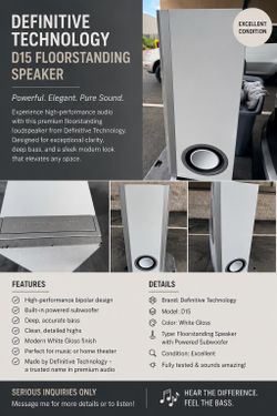 D15 floor speakers