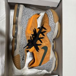 Lebron 16 Low Safari