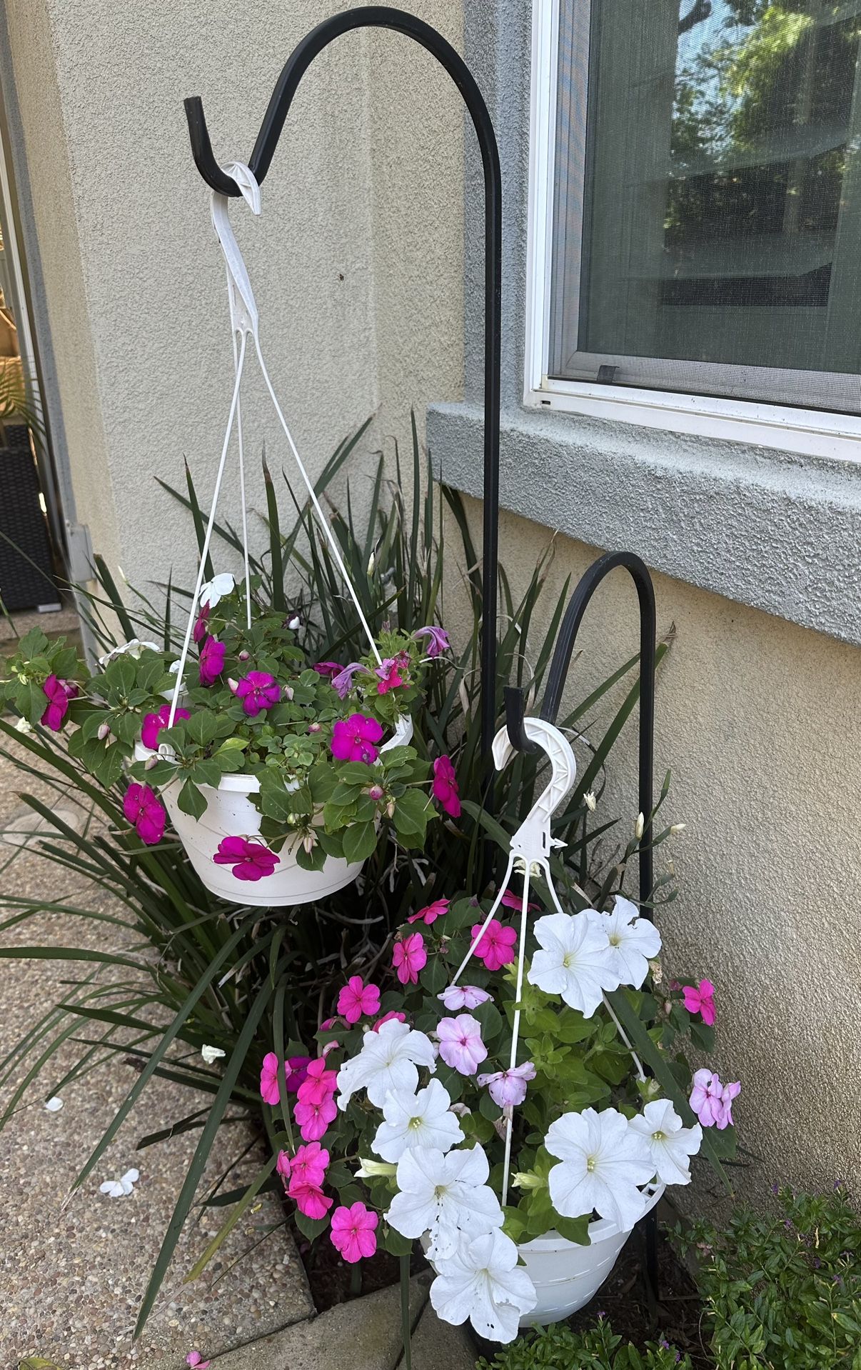 Hanging Flowers And Hooks