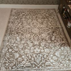 Modern Transitional Area rug 5'3"×7'5" for $50