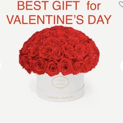 Valentine’s Day Gift! Check My Page 