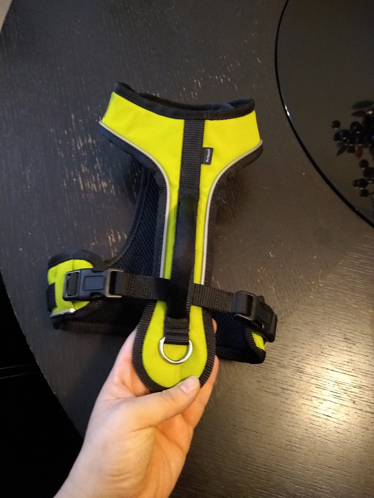 Brand new lime green harness for small dog