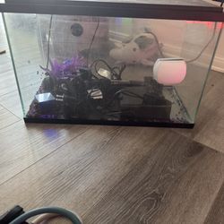 Fish Tank 