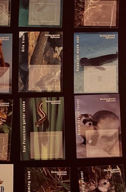 Endangered Species Souvenir Stamp Saver Collectors Cards 1996
