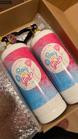 Gender Reveal Fire Extinguishers – Pink, 2 Pack