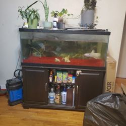 75 Gallon fish tank