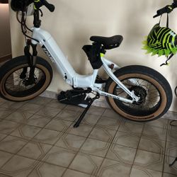 Golden Cycles Spark 500W Electric Bicycle
