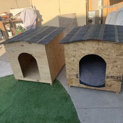 Big Dog House 