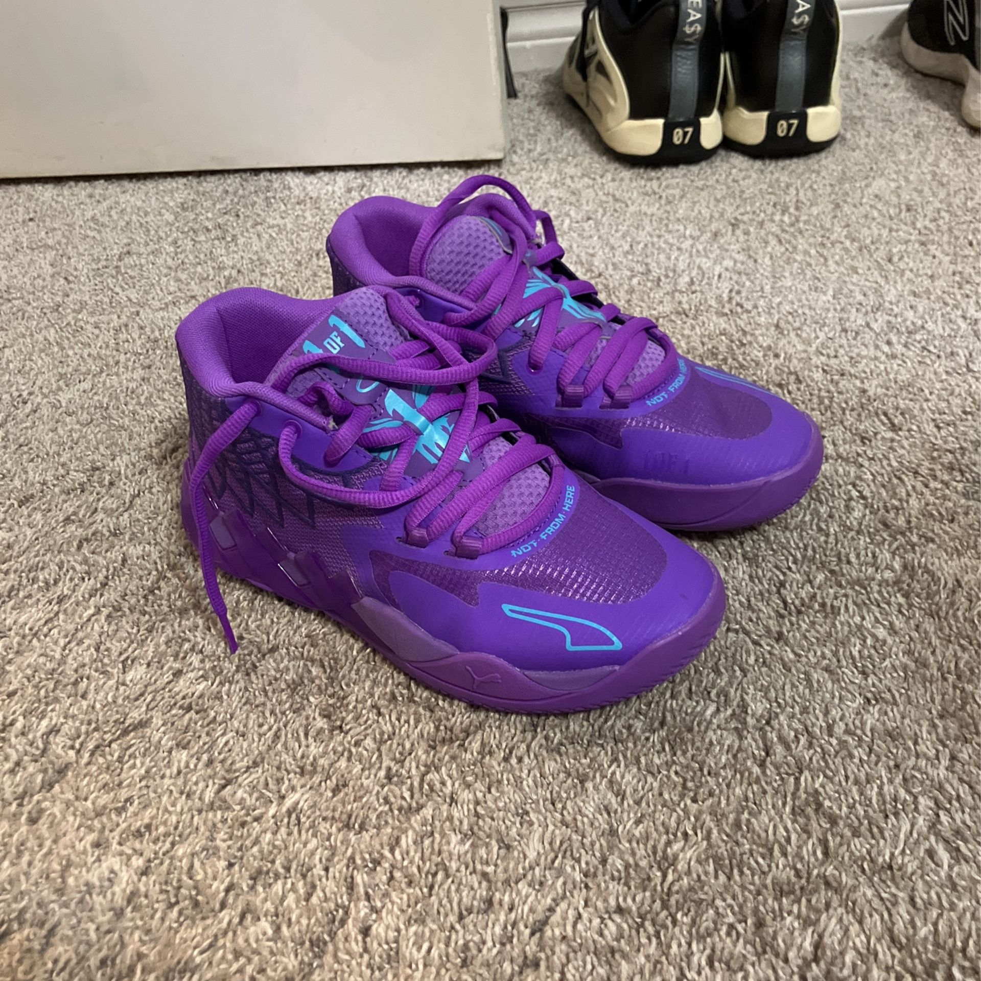 Puma Lamelo Ball Size 5.5