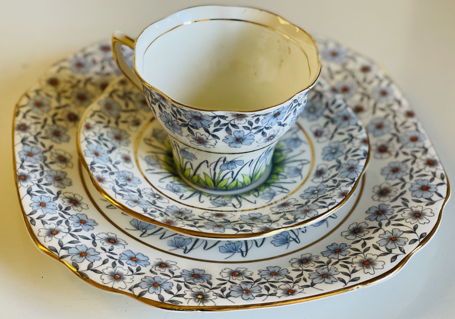 Rosina Tea Cup And saucer