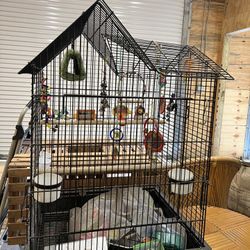Bird Cage