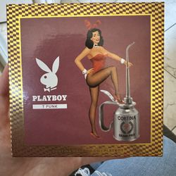 Cortina Playboy Bearings 