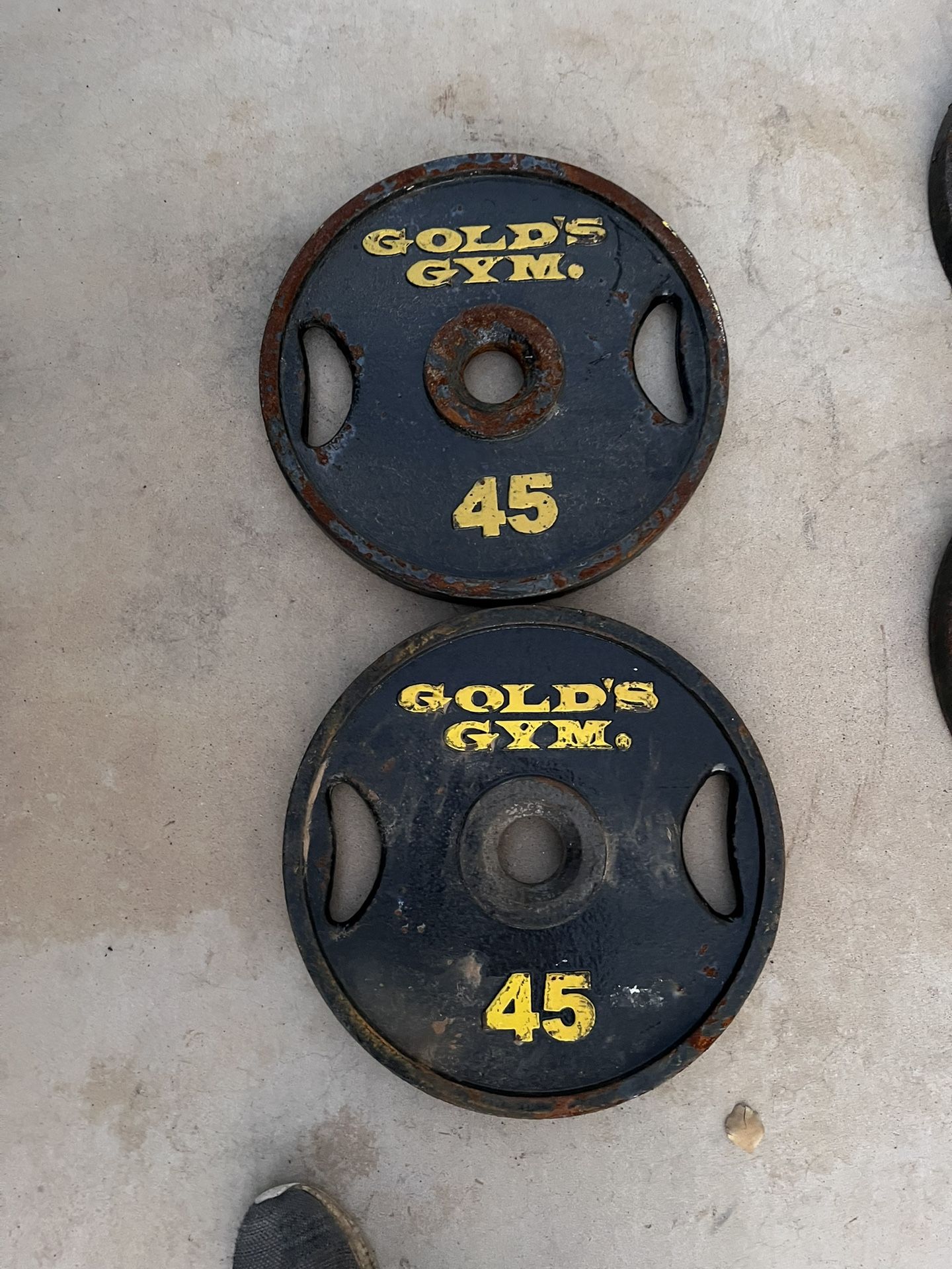 Golds Gym 45lb Olympic Weight Plate Set