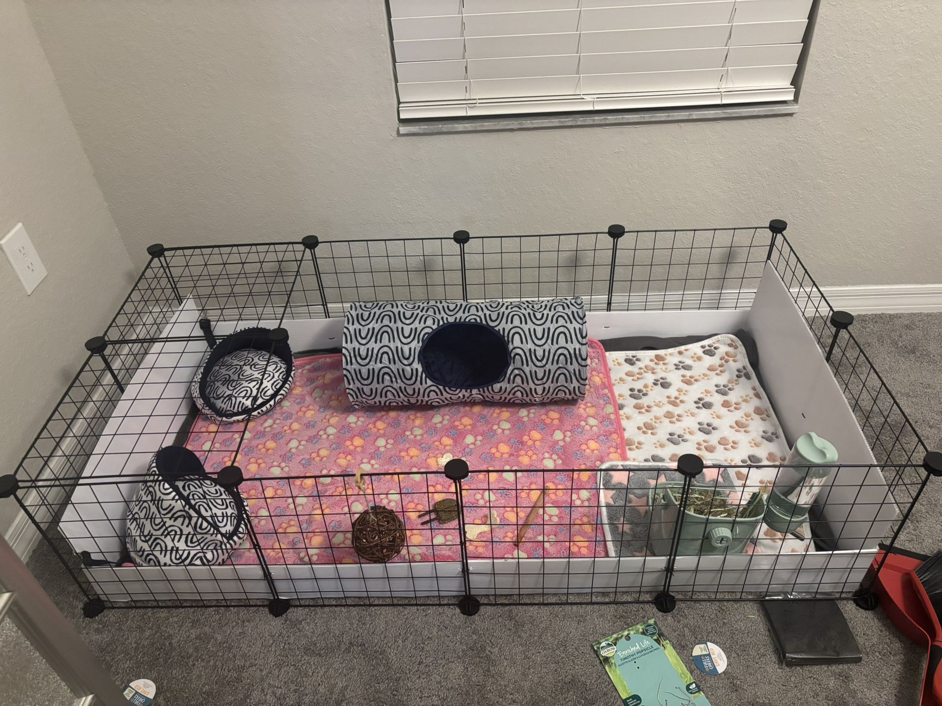 Guinea Pig Cage
