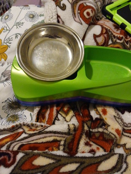 Cat Food Bowls