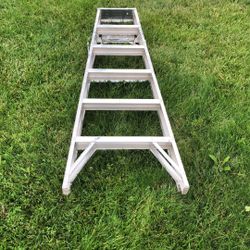 6 Foot Ladder