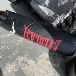 Everlast Heavy Duty Punching Bag