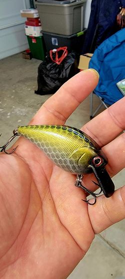 Fishing Lures