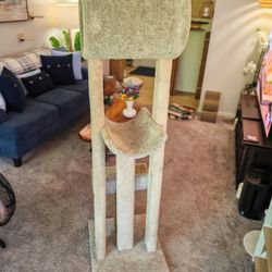 Cat Tower