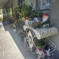 Plants Different Pots And Plant Stands For Sale Everything Must Go 