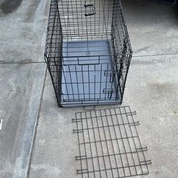 Dog Kennel 