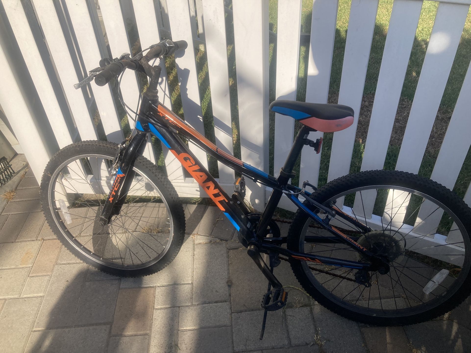 Giant Bike