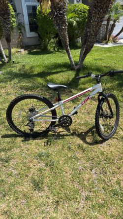 Mountain bikes