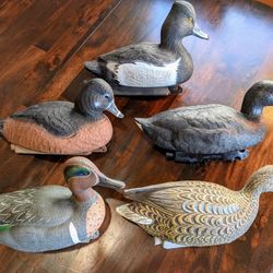Duck Decoys 