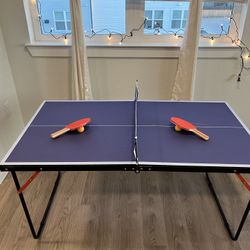 Ping Pong Table 